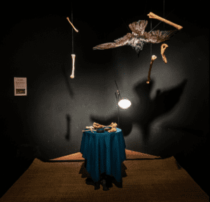 Untitled design copy 2