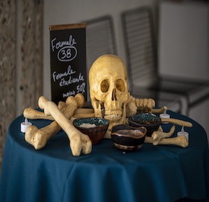 Photographe par Alexander J.E. Bradley