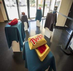 Photographe par Alexander J.E. Bradley